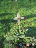 image of grave number 197688